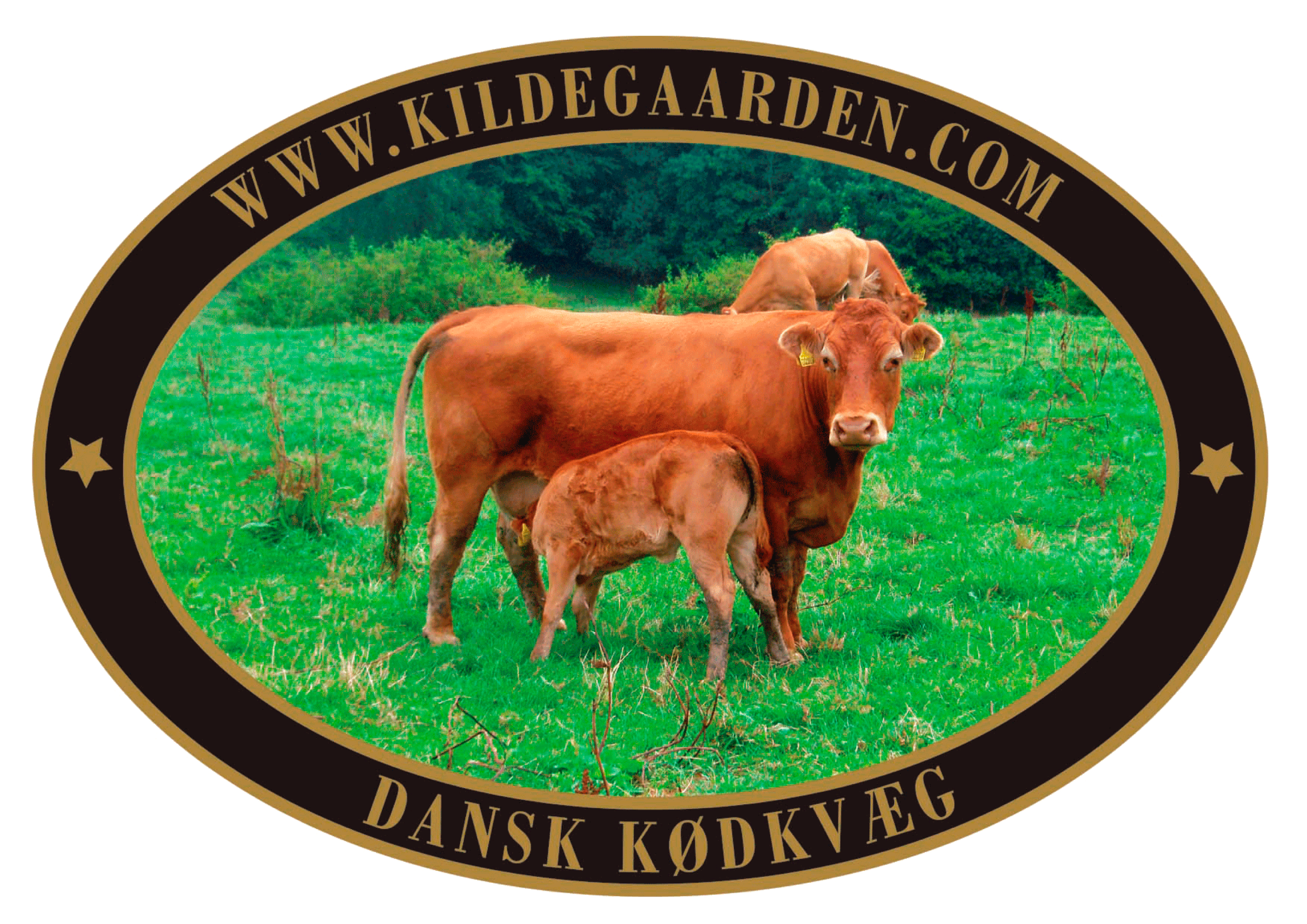 Kildegaarden