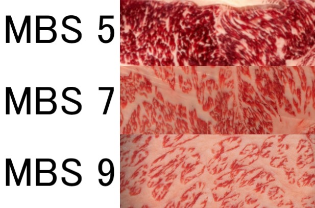 MBS score