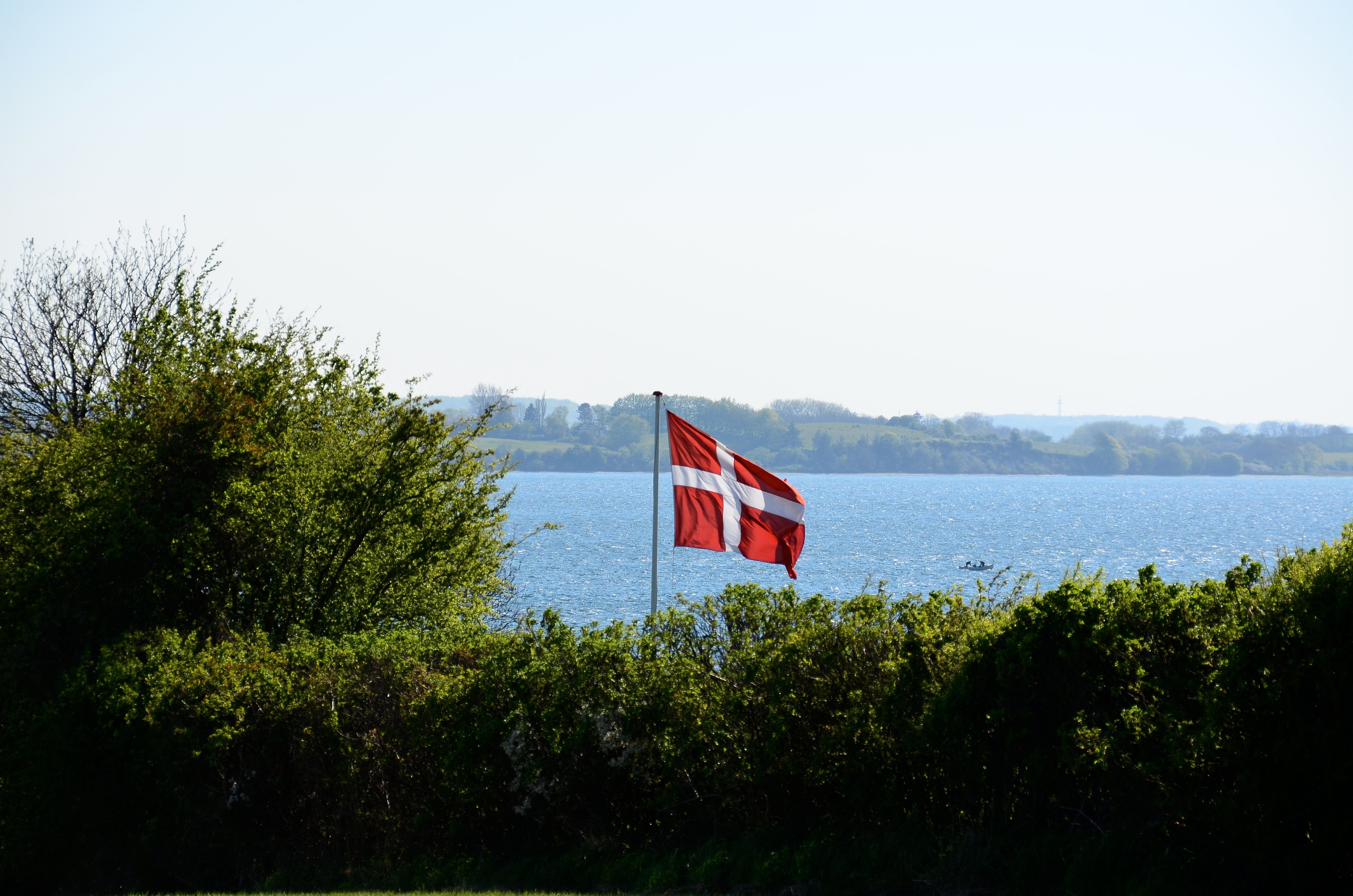 Dansk Flag