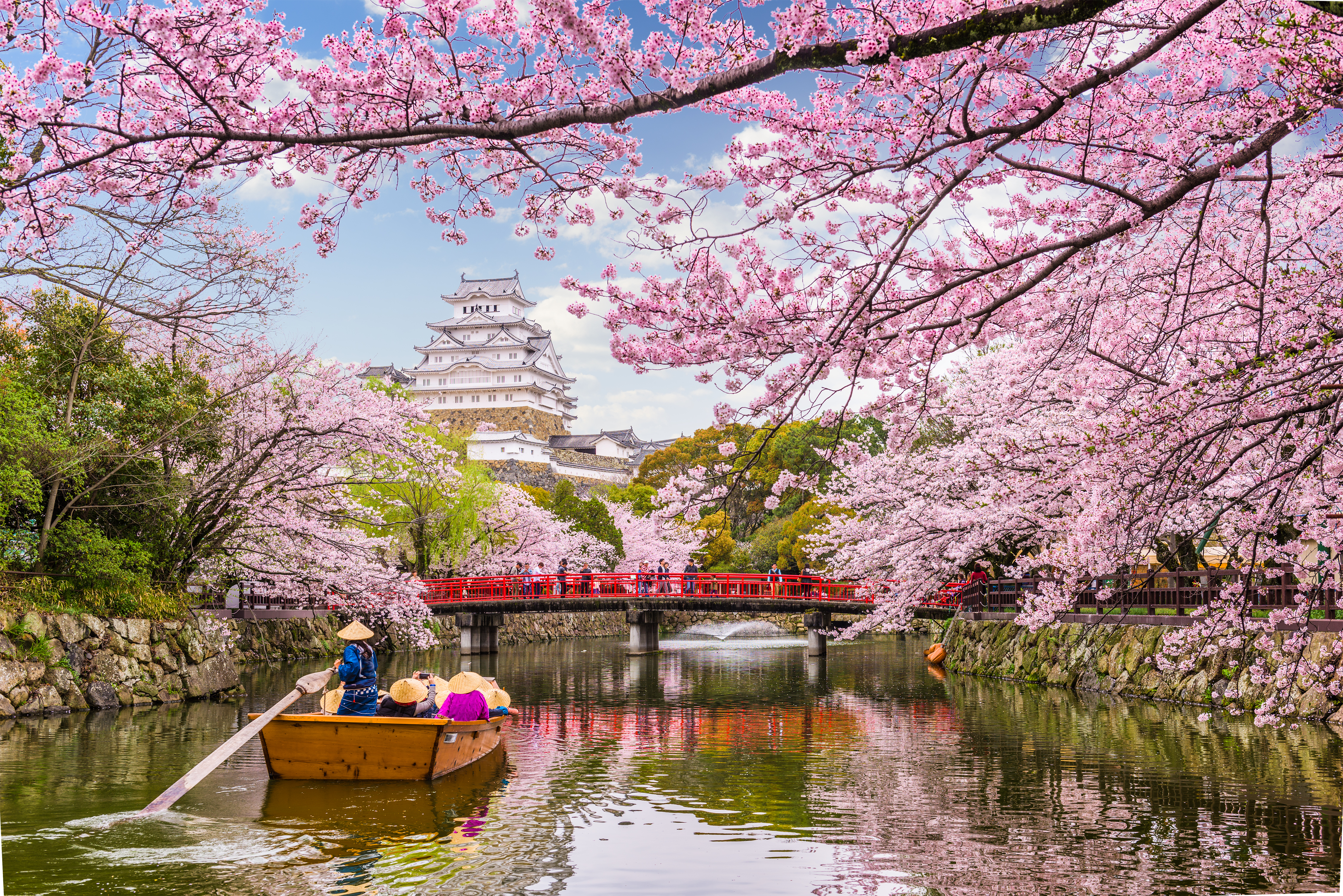 Asian nature
