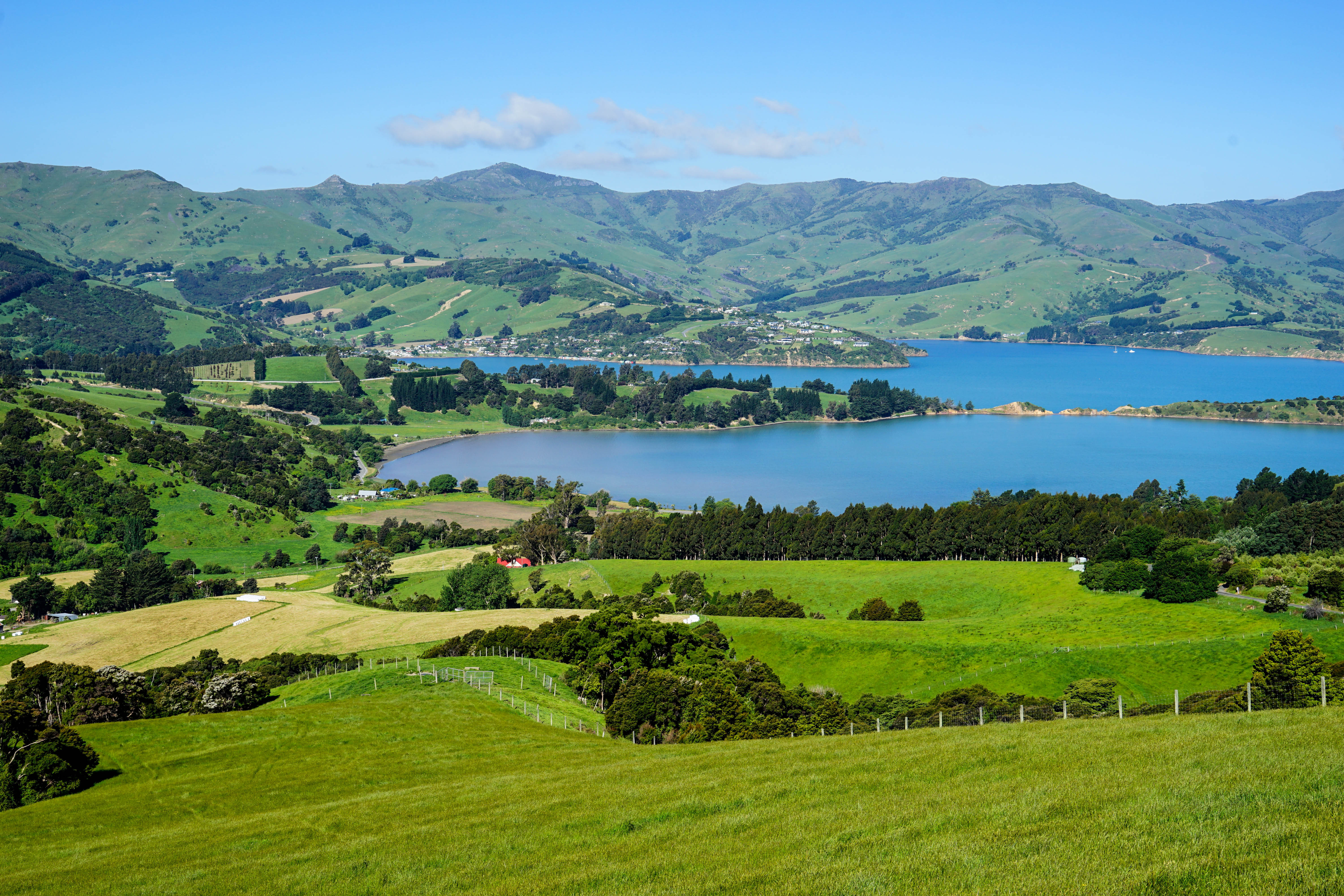 New Zealand Natur
